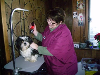 groomingad1.jpg